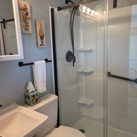 Small bathroom with glass shower, white sink, toilet, black fixtures, and tissue box on the toilet tank.