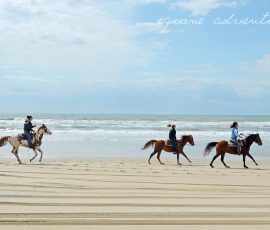 Three people ride horses along a sandy beach with ocean waves and partly cloudy skies in the background.