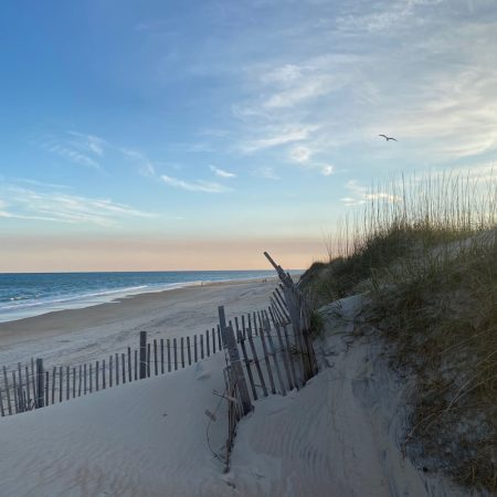 Sandy beach with a broken wooden fence, grassy dune, ocean waves, and a blue sky with clouds and birds.
