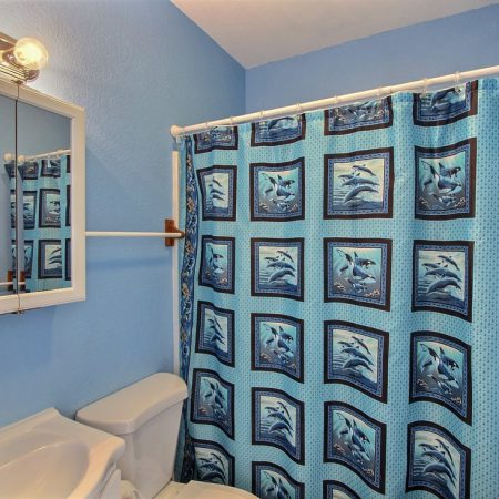 Small blue bathroom with a dolphin-themed shower curtain, white sink, toilet, and mirror with lights above.