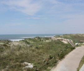 A sandy path lined with grass leads to the beach, with the ocean and a partly cloudy sky in the background.