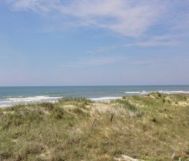 Grassy sand dunes lead to a calm ocean under a blue sky with scattered clouds.