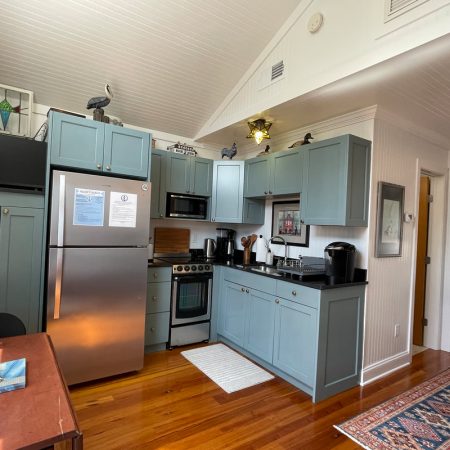 Small kitchen with blue cabinets, stainless steel appliances, and wood flooring in a cozy, well-lit room.