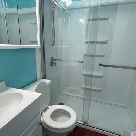 Small bathroom with a white vanity, toilet, and glass-enclosed shower against blue walls and wood-patterned floor.
