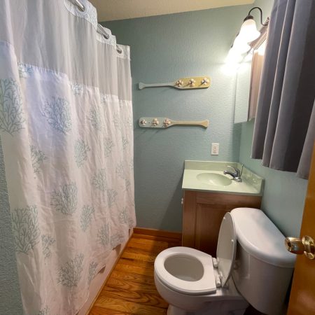 Small bathroom with toilet, sink, shower curtain, wall-mounted paddles, and wooden floor. Light above mirror.