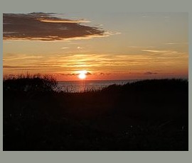 The sun sets over the ocean with clouds streaking the sky and silhouettes of bushes in the foreground.