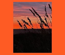 Tall grass silhouetted against an orange and purple sunset sky over a body of water.