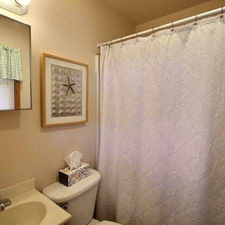Small bathroom with a sink, toilet, tissue box, framed starfish art, and a white patterned shower curtain.