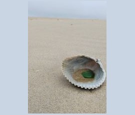 A seashell with a piece of green sea glass inside rests on sandy beach with a hazy sky in the background.