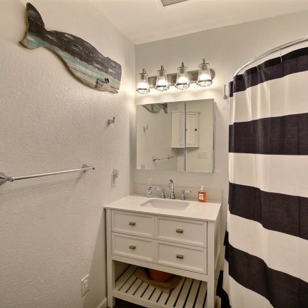 Small bathroom with a vanity, striped shower curtain, fish wall decor, and overhead lights above the mirror.